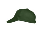 Texas bull cap
