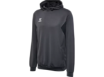 Hmlauthentic pl hoodie