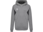 Hmlauthentic pl hoodie kids