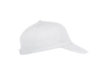 Texas bull cap