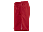 Hollis shorts