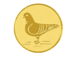 Pa 79 pigeon alu 50mm