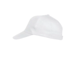 Texas bull cap