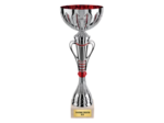 Coupe class arg/rge h 37cm d 140mm