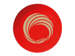 Lot de 12 disques initiation 125 g