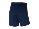 WOMEN'S NIKE DRI-FIT PARK III SHORT