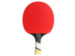 Raquette de tennis de table perform 600
