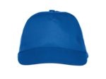 Texas bull cap