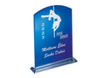 Trophee plexi epaiss 10mm h. 20 cm