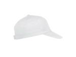 Texas bull cap