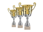 Lot de 3 coupes 2023 h moy 35,3cm