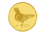 Pa 79 pigeon alu 50mm