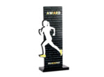 Trophee acrylique personnalisable n