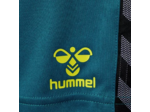 Hmlauthentic pl shorts kids