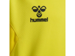 Hmlauthentic pl hoodie kids