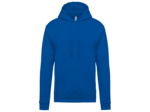 Sweatshirt capuche homme