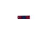 Dixmude defense nationale-bronze