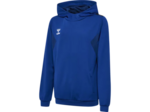 Hmlauthentic pl hoodie kids