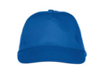 Texas bull cap