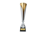 Coupe classique argent/or hauteur 5