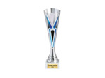 Coupe economique argent/bleu(e) hau
