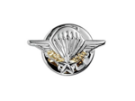 Brevet parachutisme petit modèle