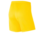 WOMEN'S NIKE DRI-FIT PARK III SHORT