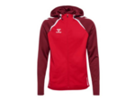 Lead 2.0 zip hoodie homme