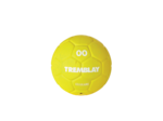 Ballon handball cellulaire t00