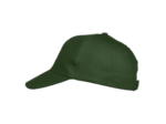 Texas bull cap