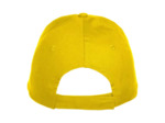 Texas bull cap