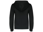Sweat zippe capuche