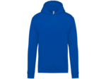 Sweatshirt capuche junior