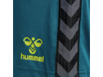 Hmlauthentic pl shorts woman