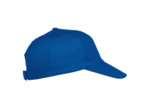 Texas bull cap