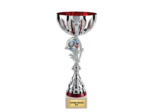 Coupe class arg/rge h 38cm d 160mm