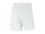 WOMEN'S NIKE DRI-FIT PARK III SHORT