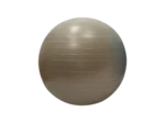 Gymball/balle gymnique 55cm