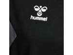 Hmlauthentic pl hoodie