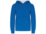 Sweatshirt capuche contrastée junior