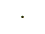Rosette merite agricole-officier