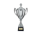 Coupe argt 53cm + couvercle bol