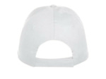 Texas bull cap