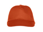 Texas bull cap