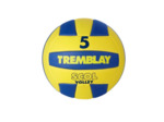 Ballon volley  scolaire taille 5
