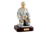 Trophee resine judo homme h.28 cm