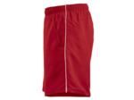 Hollis shorts