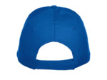 Texas bull cap