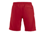 Hollis shorts
