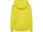 Hmlauthentic pl hoodie kids